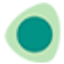 Icon for www.repairdesk.co