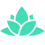 Icon for www.revivemygrades.com