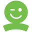 Icon for www.rootsinterns.com