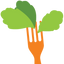 Icon for www.saladandgo.com