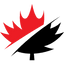 Icon for www.savvynewcanadians.com