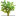 Icon for www.scholartext.com