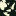 Icon for www.schulerbooks.com