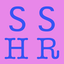 Icon for www.sharonsmithhr.com