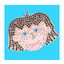 Icon for www.shawprimaryacademy.co.uk