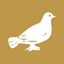Icon for www.siasat.com