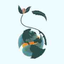 Icon for www.simplyplasticfree.com.au