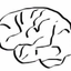 Icon for www.smartstudentsecrets.com