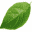Icon for www.solidwoodclosets.com