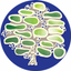 Icon for www.southallschool.com