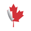 Icon for www.southwestbusiness.ca