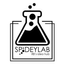 Icon for www.spideylab.com