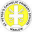 Icon for www.stpetersschoolmarlow.org.uk