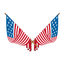 Icon for www.stripes.com