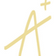 Icon for www.studyvaults.com