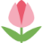 Icon for www.studywithnali.com