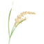 Icon for www.stuttgartdailyleader.com