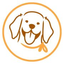 Icon for www.sugarthegoldenretriever.com