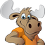 Icon for www.summercamppro.com