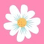 Icon for www.sympathymessageideas.com
