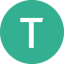 Icon for www.tavinstitute.org