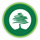 Icon for www.thebenchfactory.com
