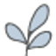 Icon for www.thecomfortcompany.com