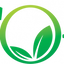 Icon for www.theecotrends.com