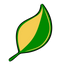 Icon for www.thehealthsciencejournal.com