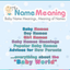 Icon for www.thenamemeaning.com