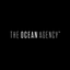 Icon for www.theoceanagency.org