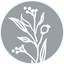 Icon for www.tidbits-cami.com