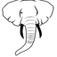 Icon for www.tidefans.com