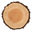 Icon for www.timberblogger.com