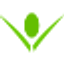 Icon for www.tompkinschiropractic.com