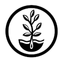 Icon for www.trueleafmarket.com