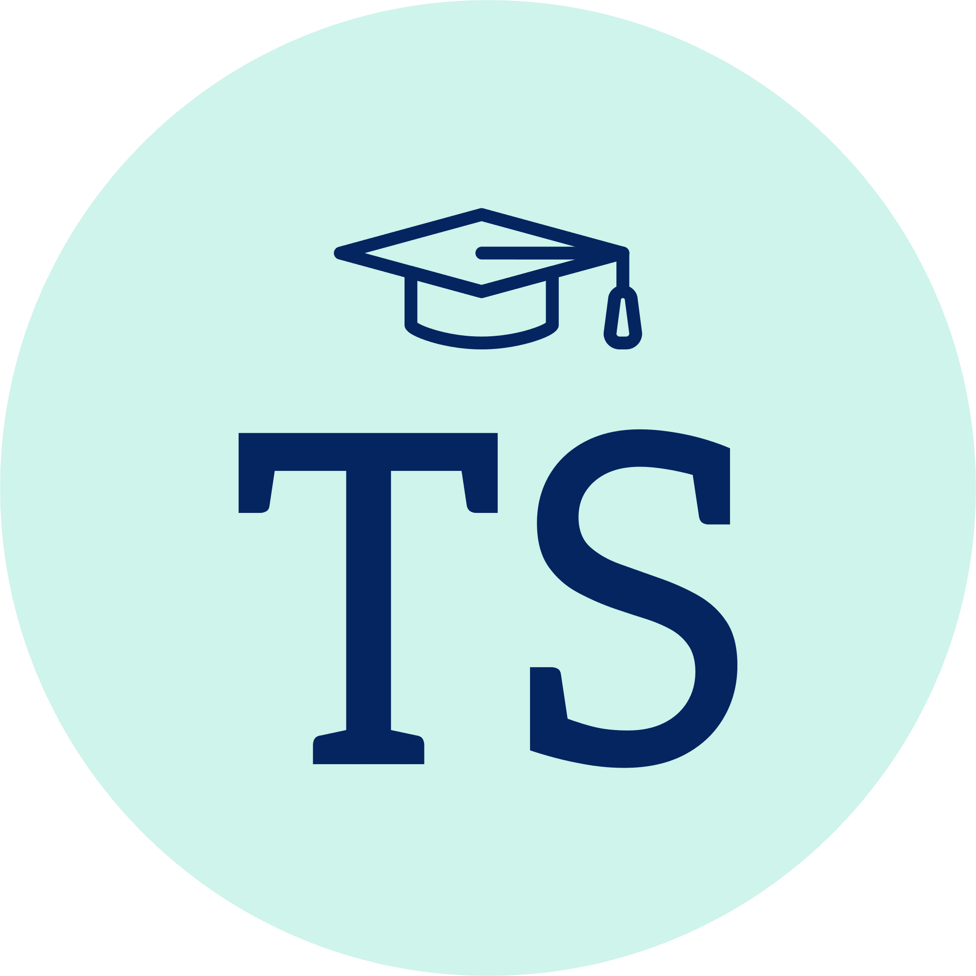 Icon for www.tsrevision.com