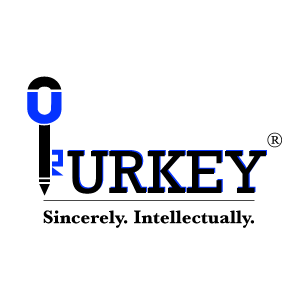 Icon for www.urkey-ip.com