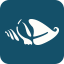 Icon for www.visitfortmyers.com