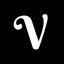 Icon for www.vizney.com