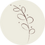 Icon for www.wildivyaz.com