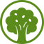 Icon for www.wordforest.org