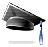 Icon for www2.tisschool.com