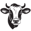 Icon for xocow.com