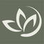 Icon for yourholistichq.com