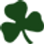 Icon for yourirish.com
