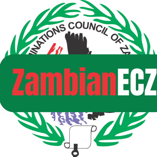 Icon for zambianecz.org