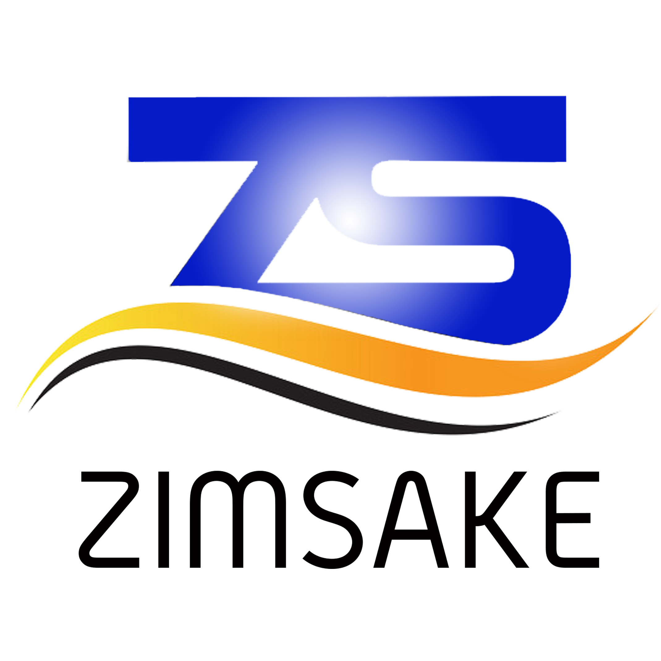 Icon for zimsake.co.zw